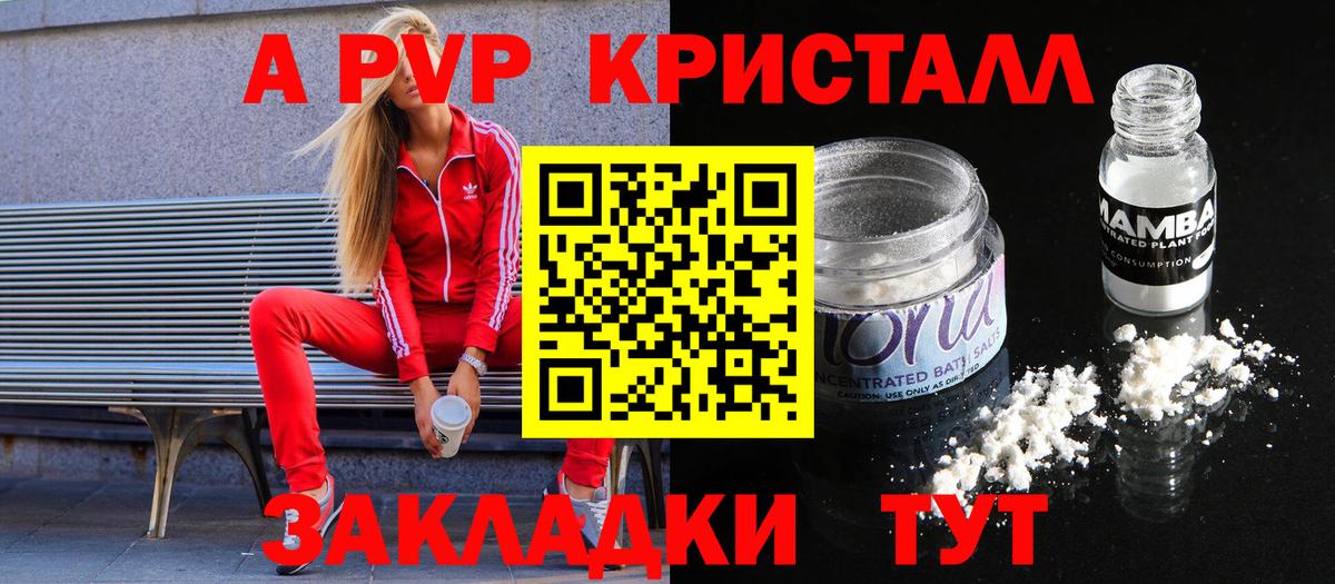 A PVP СК Арзамас