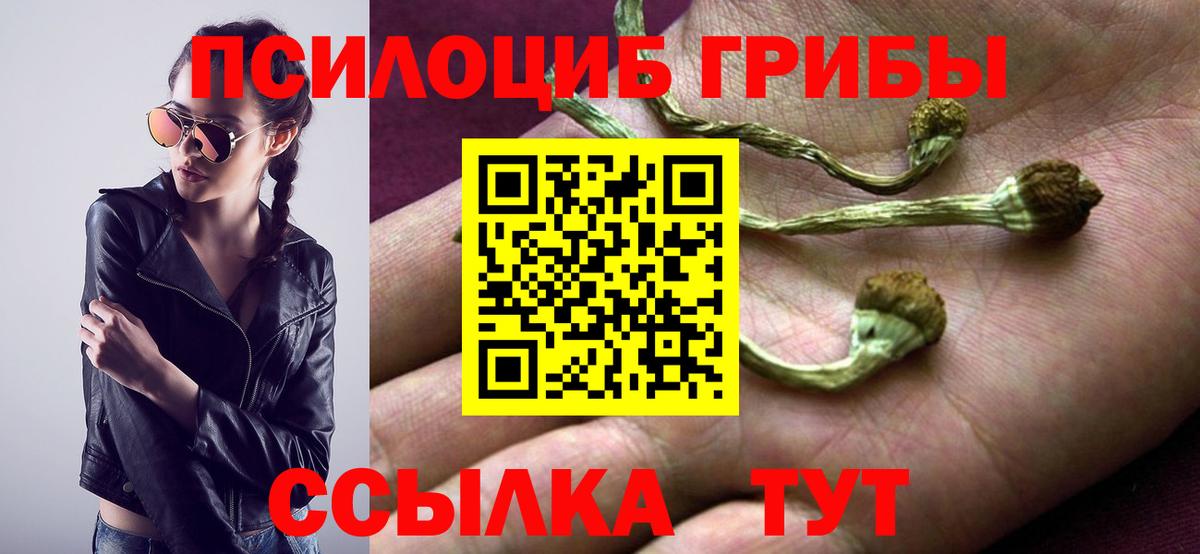 Галлюциногенные грибы мицелий  купить наркотик  Арзамас  Вход с VPN 